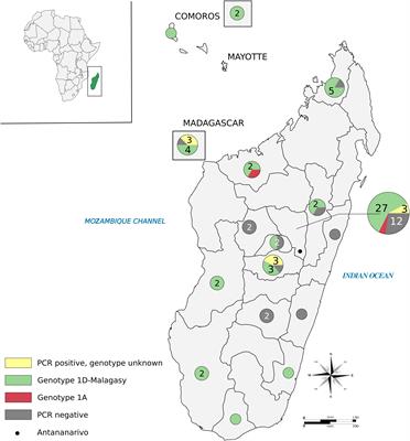 <mark class="highlighted">Population Genomics</mark> of Mycobacterium leprae Reveals a New Genotype in Madagascar and the Comoros